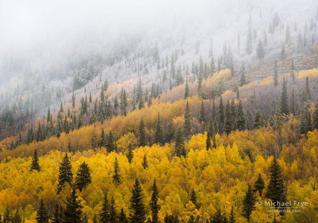 New Listing 2Br 2Ba Condo - Mountain Views Aspen Exteriér fotografie