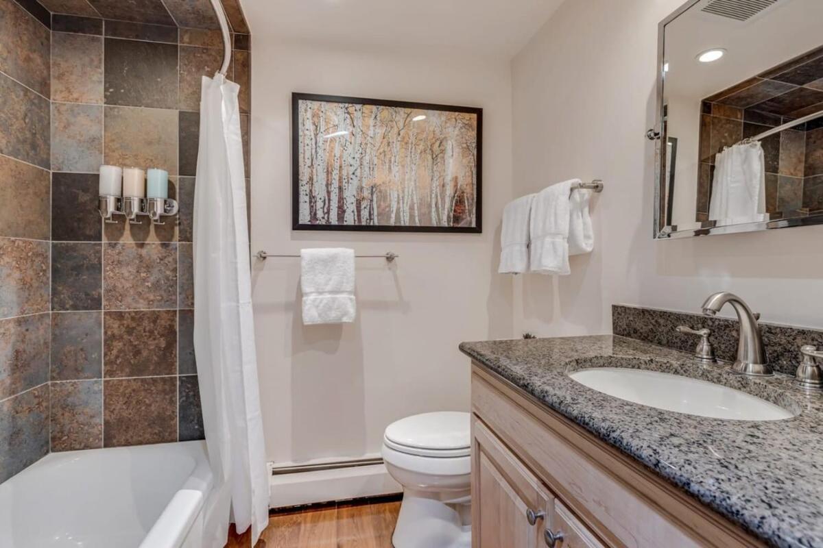 New Listing 2Br 2Ba Condo - Mountain Views Aspen Exteriér fotografie